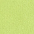 19 фисташковый